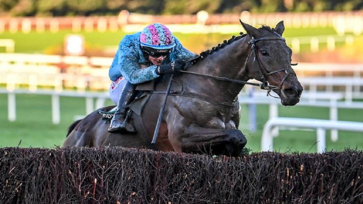 Meetingofhtewaters in action at Cheltenham